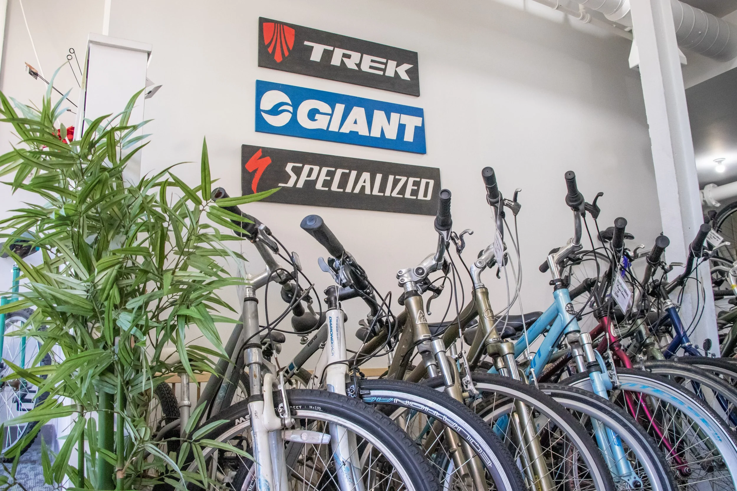 Fredericks on sale bike shop